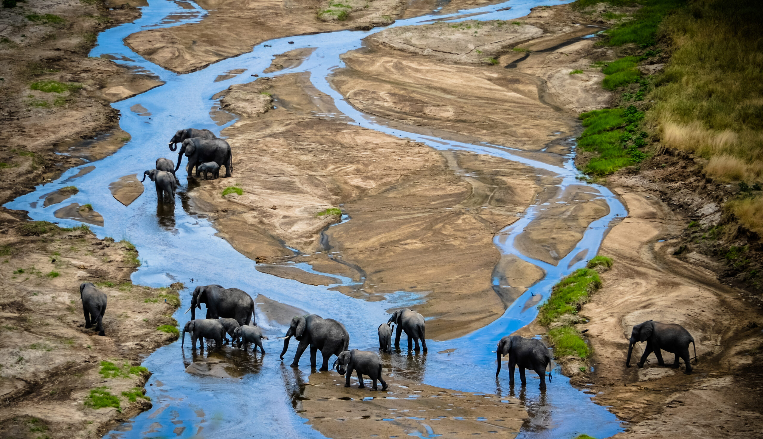 high-angle-view-elephants-landscape